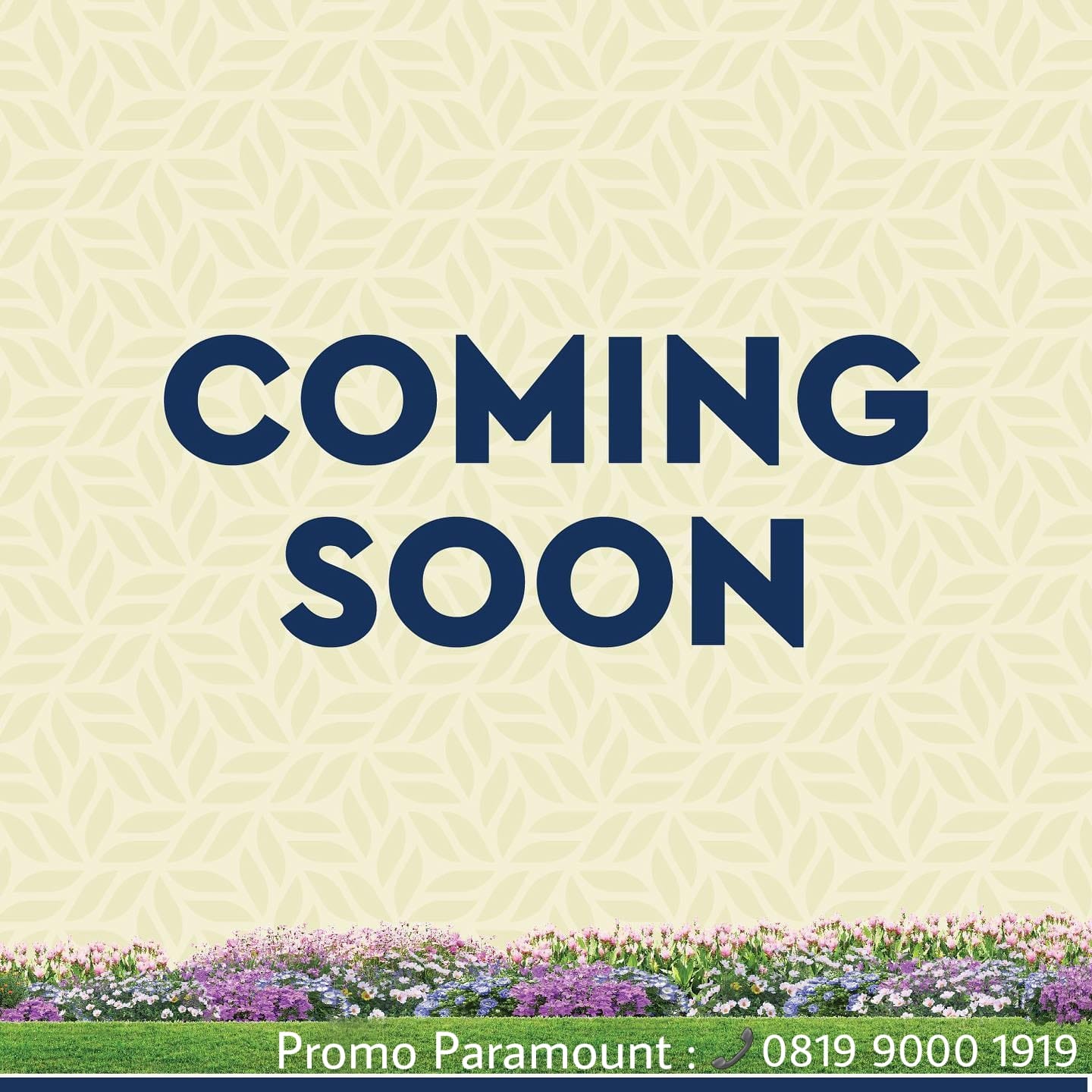 WhatsApp-Image-2022-07-26-at-15.58.04-1