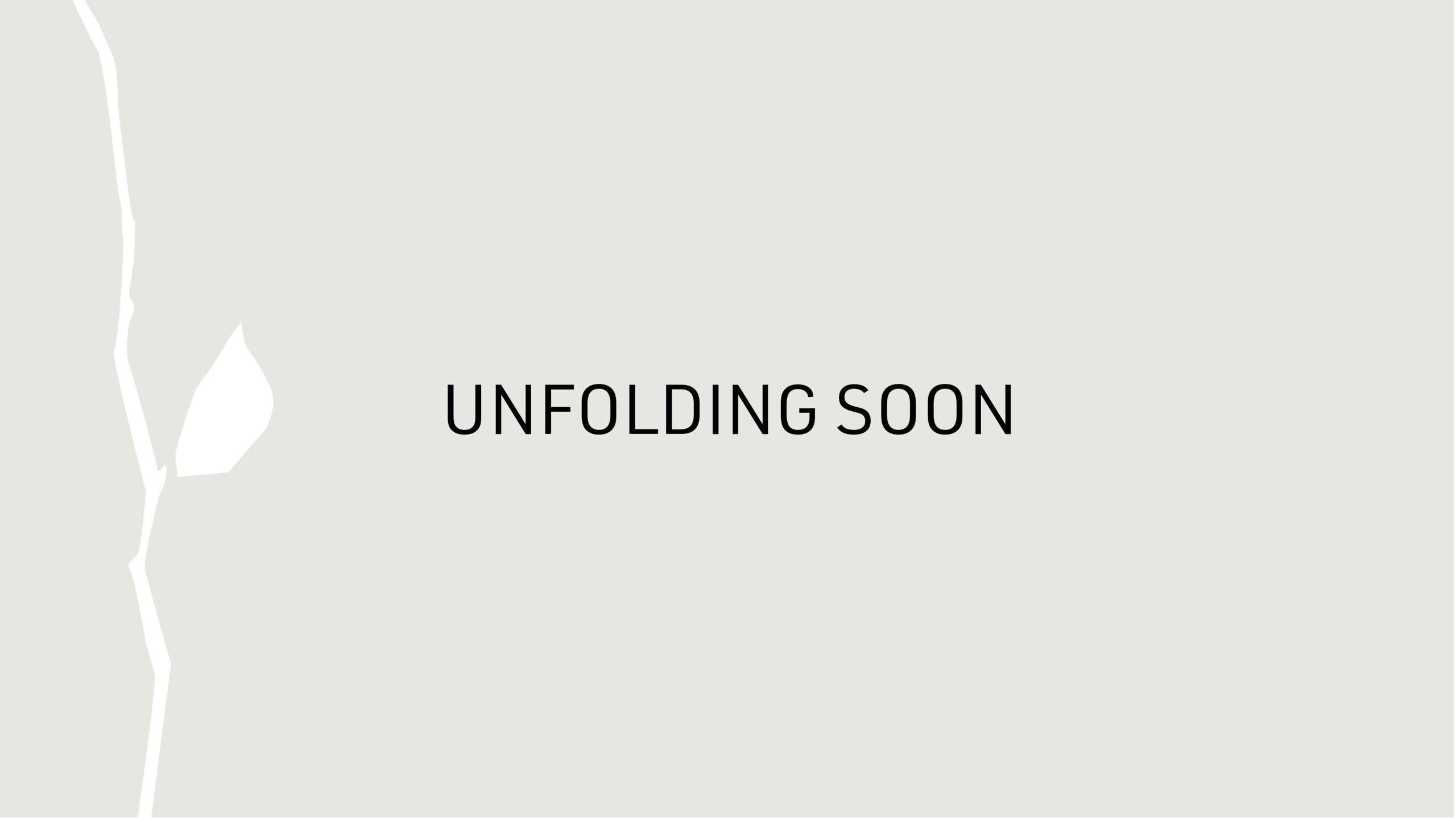 NYKKA-BY-ALAM-SUTERA_BLANKS-1_page-0014-2