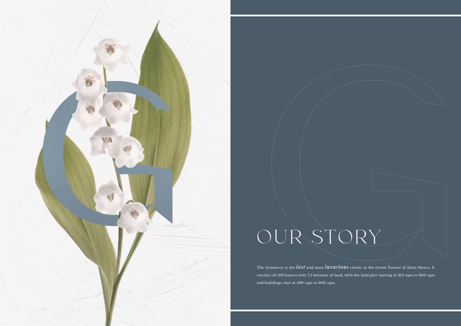 WhatsApp-Image-2023-07-11-at-10.01.16-3