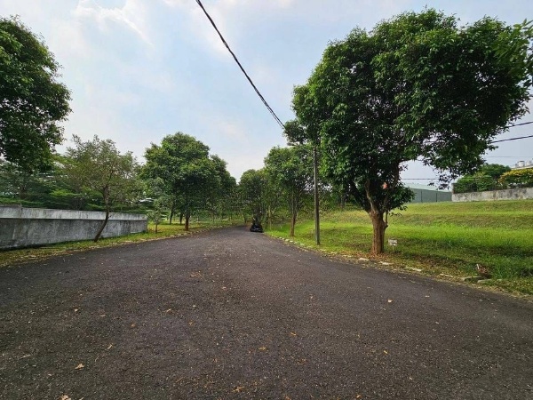 WhatsApp-Image-2025-04-10-at-3.46.57-PM-1-1