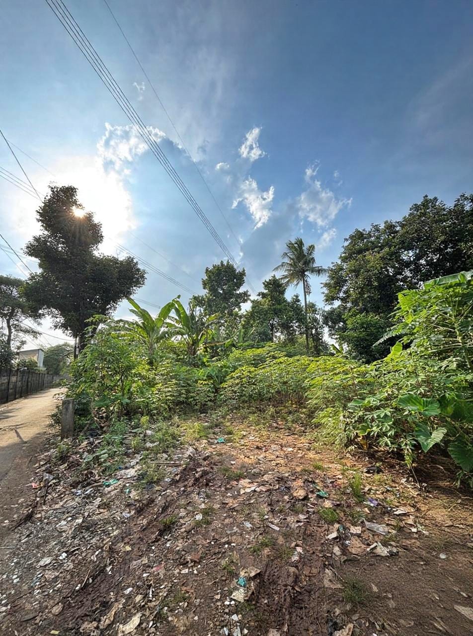 WhatsApp-Image-2026-02-06-at-2.33.49-PM