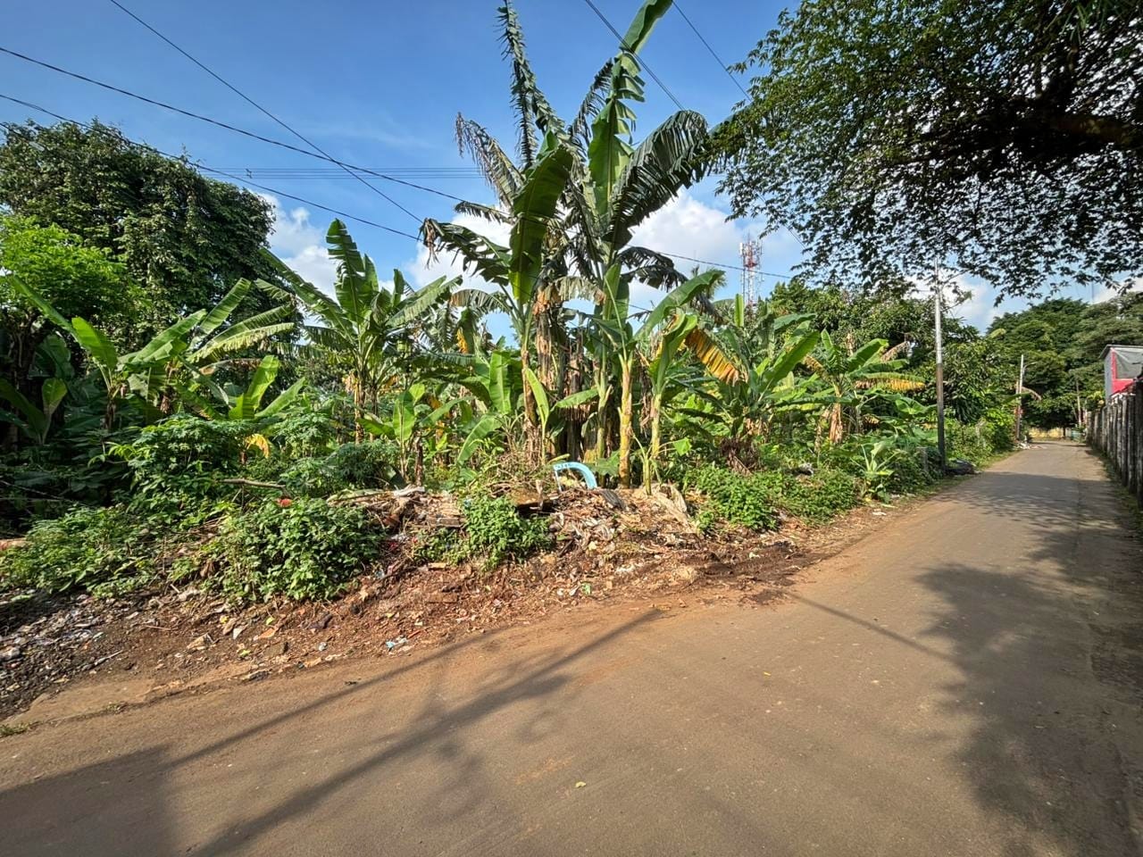 WhatsApp-Image-2026-02-06-at-2.33.50-PM