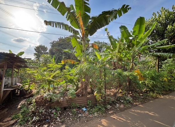 b833698f-71bf-444d-a669-010fd23fbe0b-1